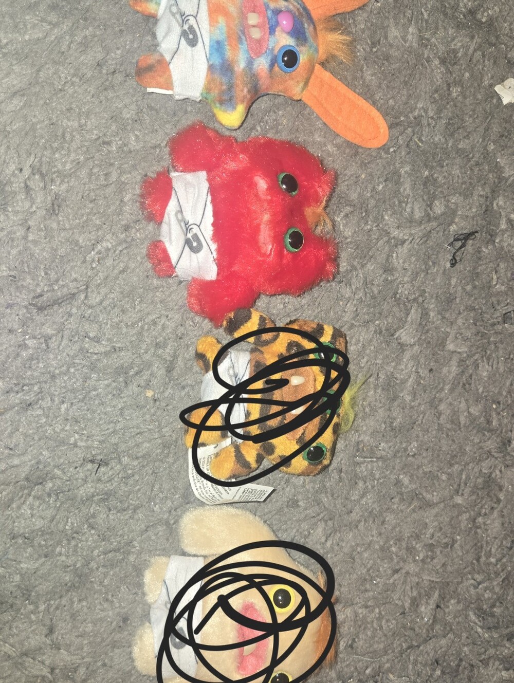 Baby Fugglers Can Be Sold Single For 2$ And All Of Them For 8$